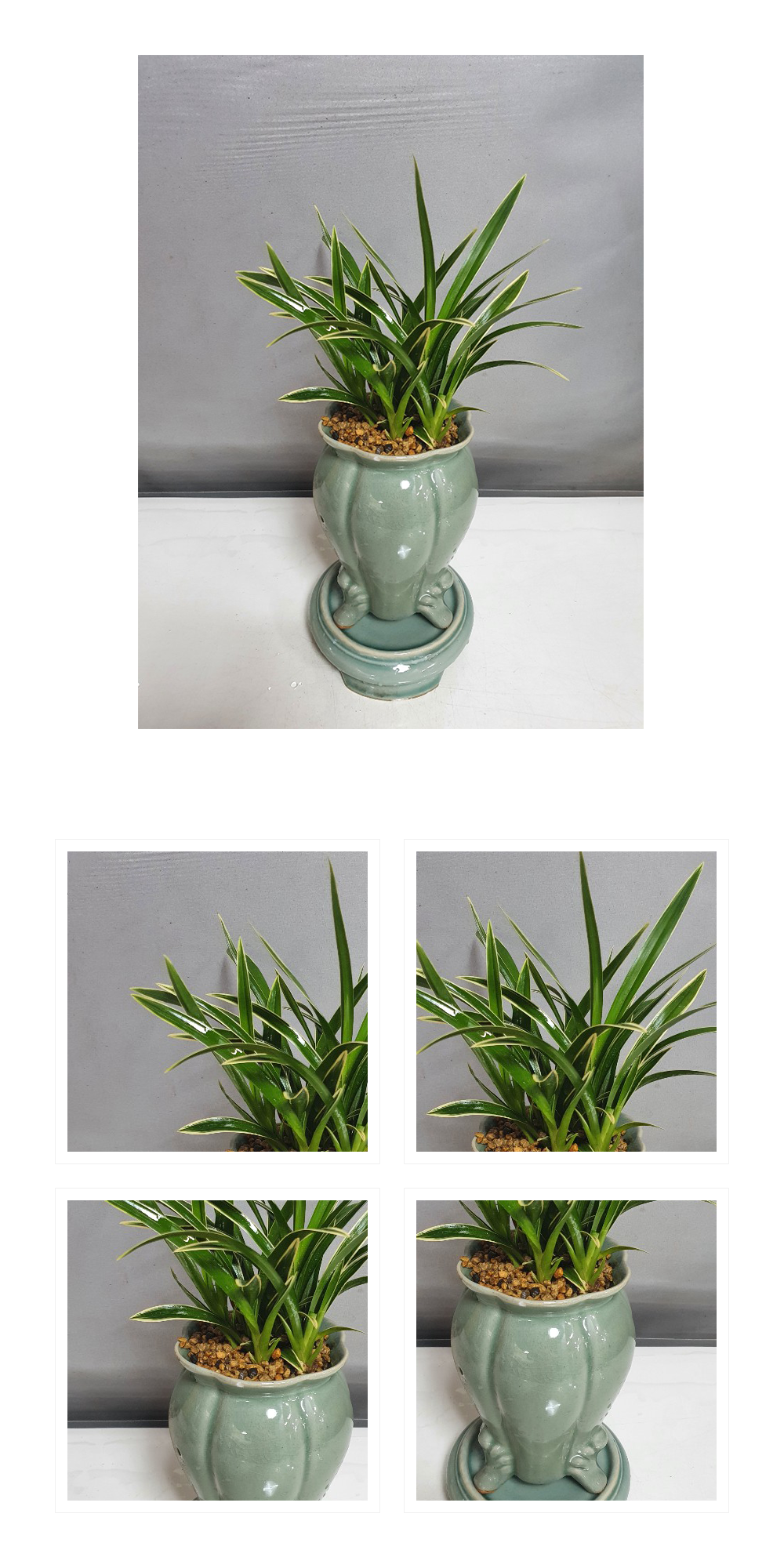 07_020.png 07_020.png