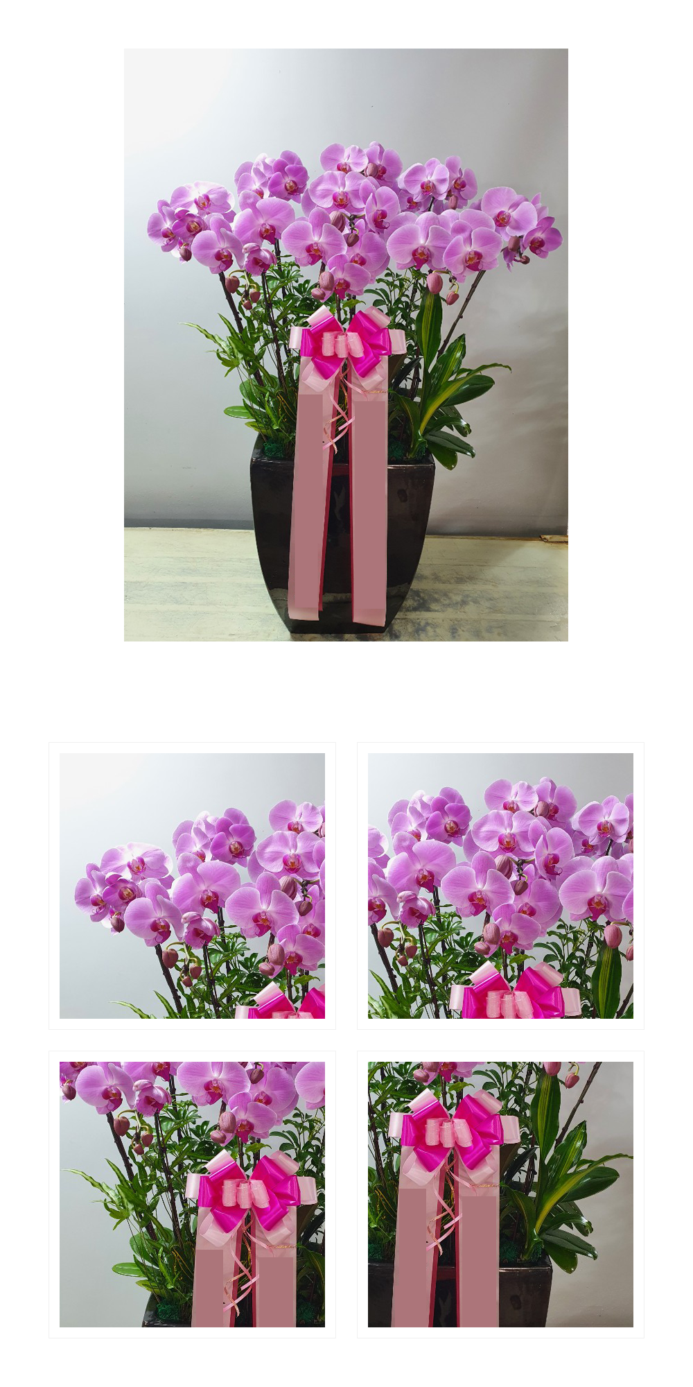 08_042.png 08_042.png