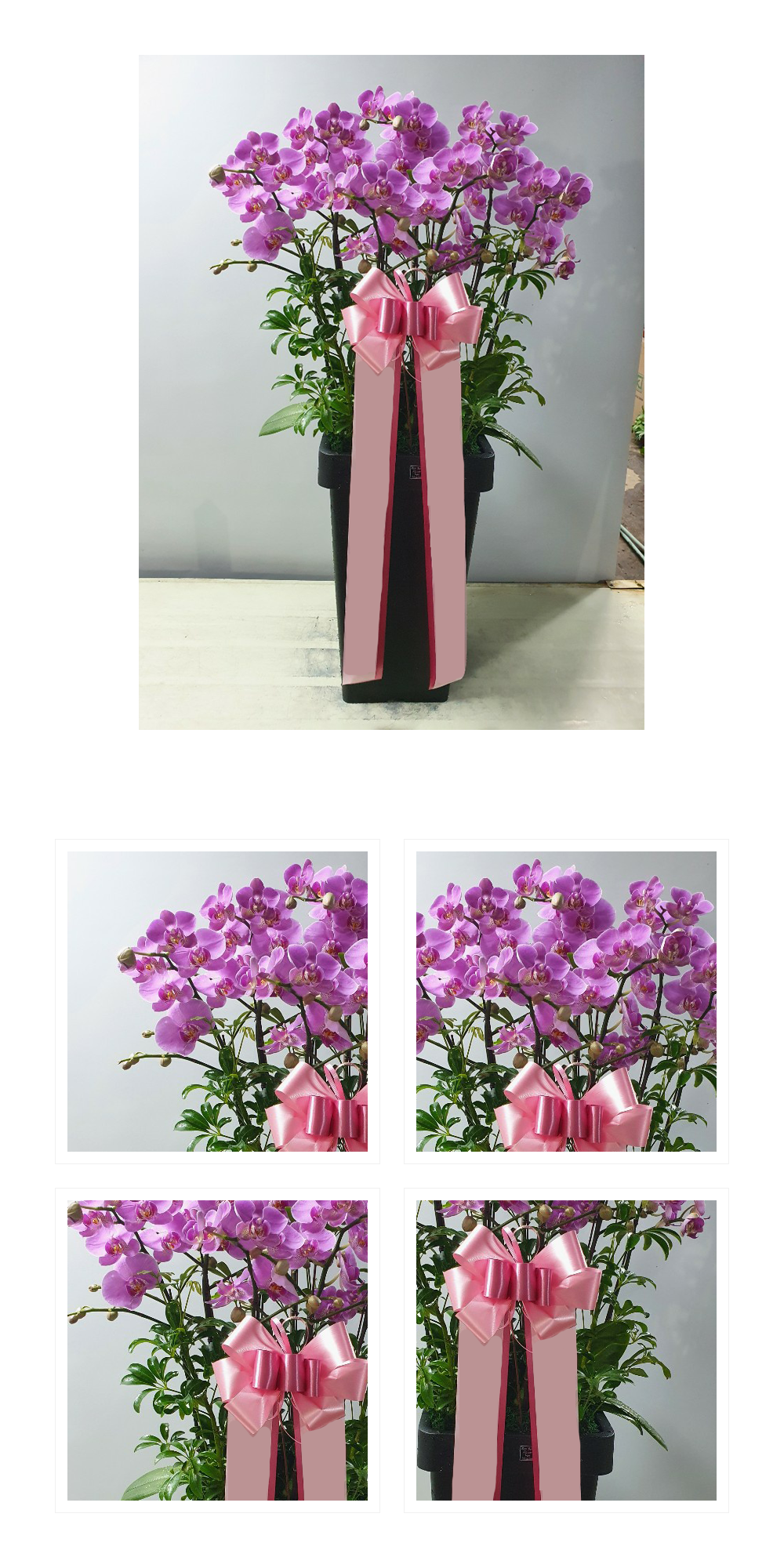 08_045.png 08_045.png